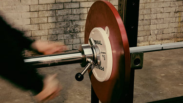 <p>Specialist Bars</p>