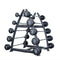 Straight Barbell (Sets)