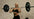 Primal Strength image