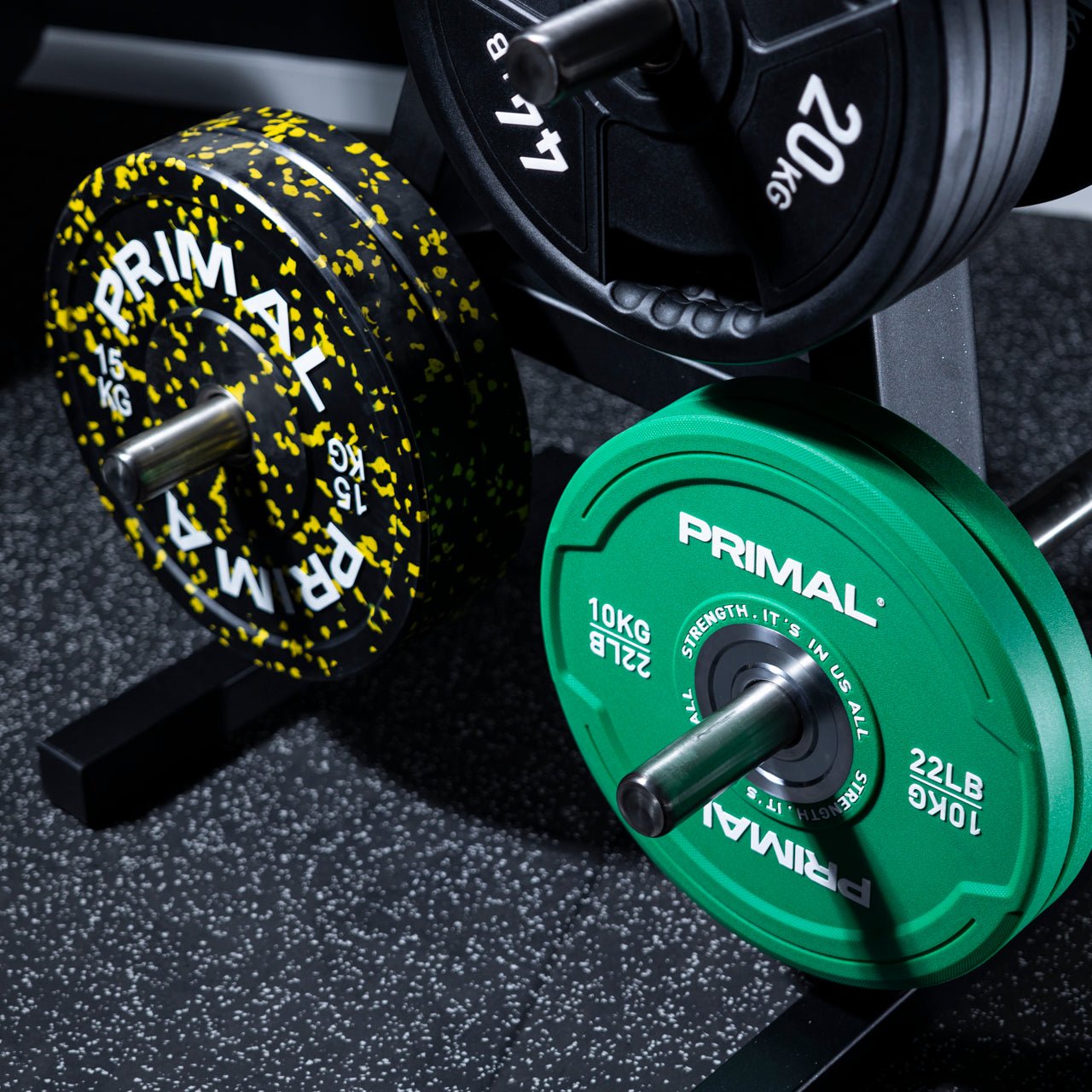 Weight Plate Tree