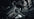 Primal Strength image