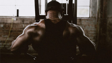 <p>Black Friday Strength Machines</p>