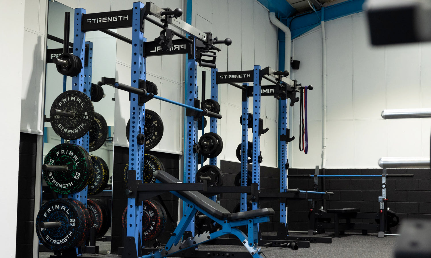 Squat Racks | Squat Stands – Primal Strength