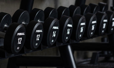 <p>Urethane Dumbbells</p>