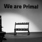 a 2 tier dumbbell rack in a gym with we are primal printed on the wall