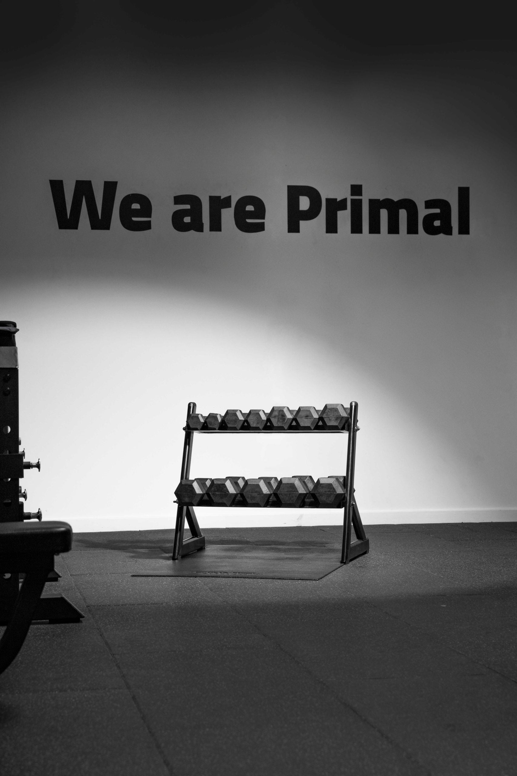 a 2 tier dumbbell rack in a gym with we are primal printed on the wall