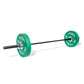 a complete black russian weight bar loaded with a pair of weight plates