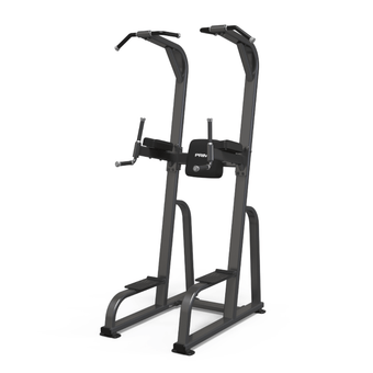 Club Chin/Dip Frame