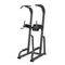 Club Chin/Dip Frame