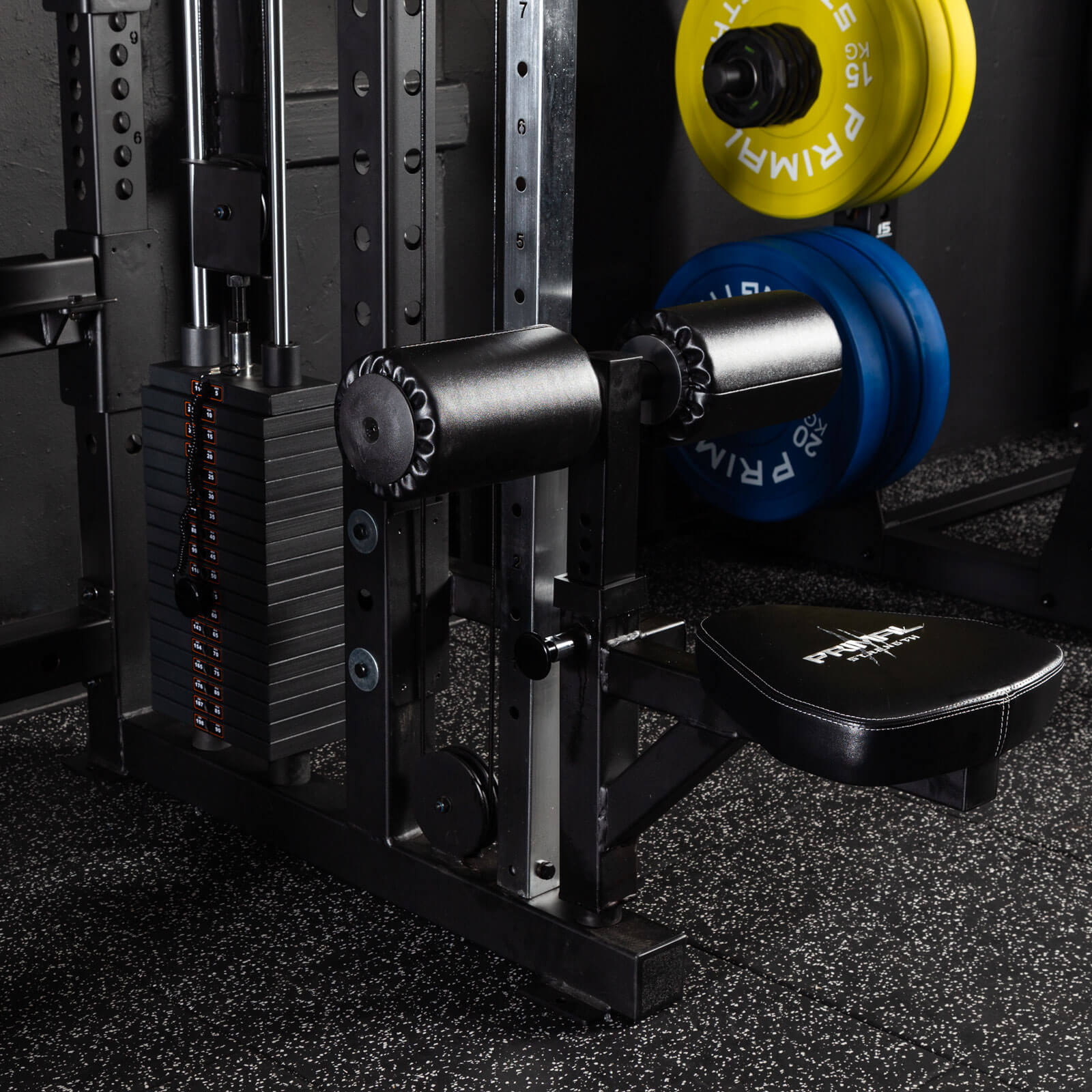 Personal Training System Primal Strength