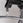 125kg Pin-Select Dual - Lat Pulldown/Seated Row
